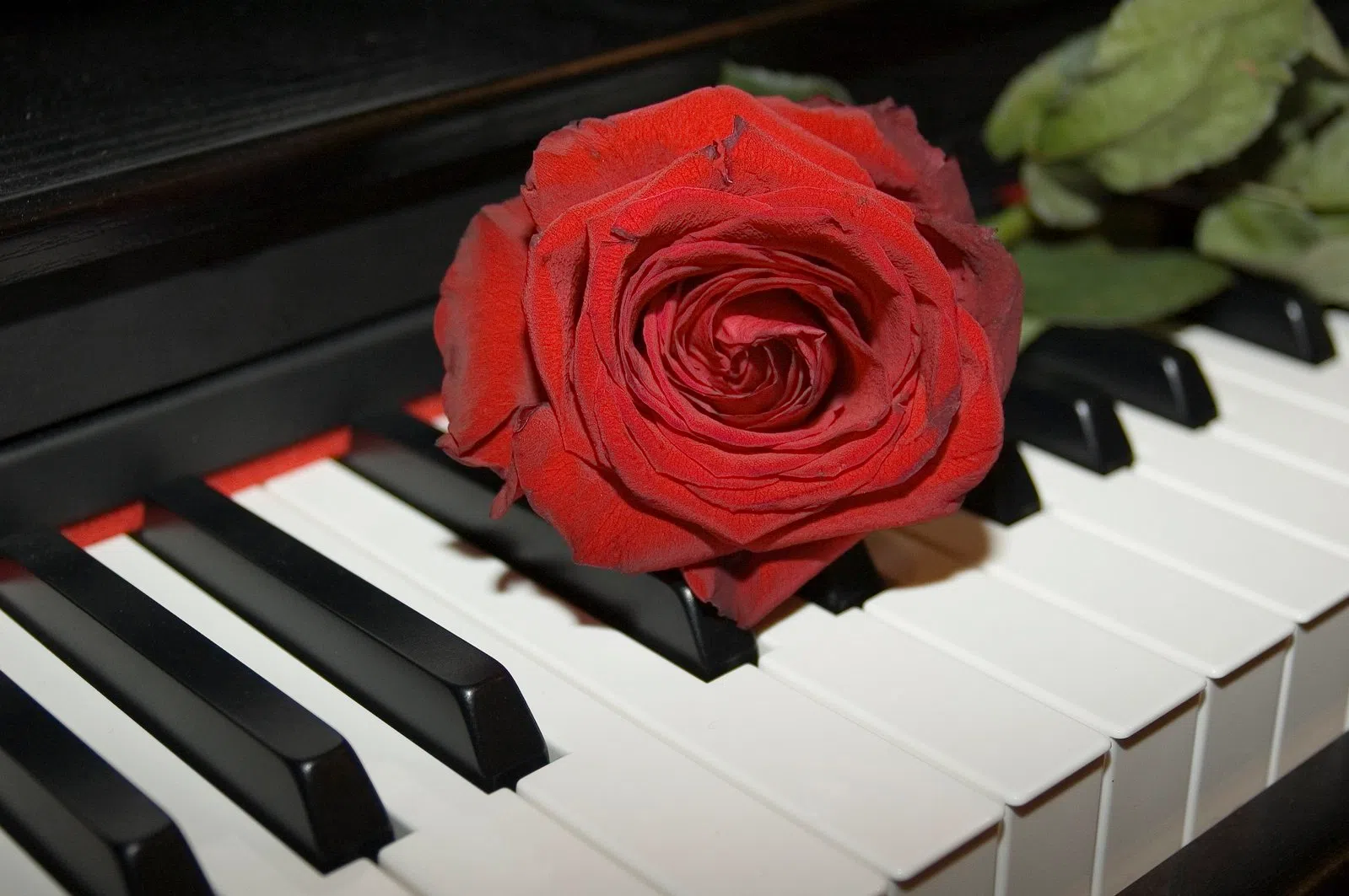 List Of Top 20 Romantic Cities Lacks Representation From Atlantic Canada