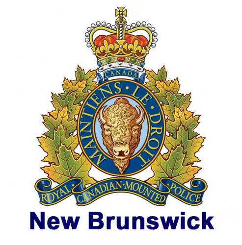 Riverview Men Face 27 Charges After Fleeing From RCMP