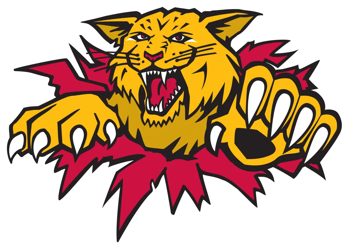 QMJHL Recognizes Wildcats and Phoenix