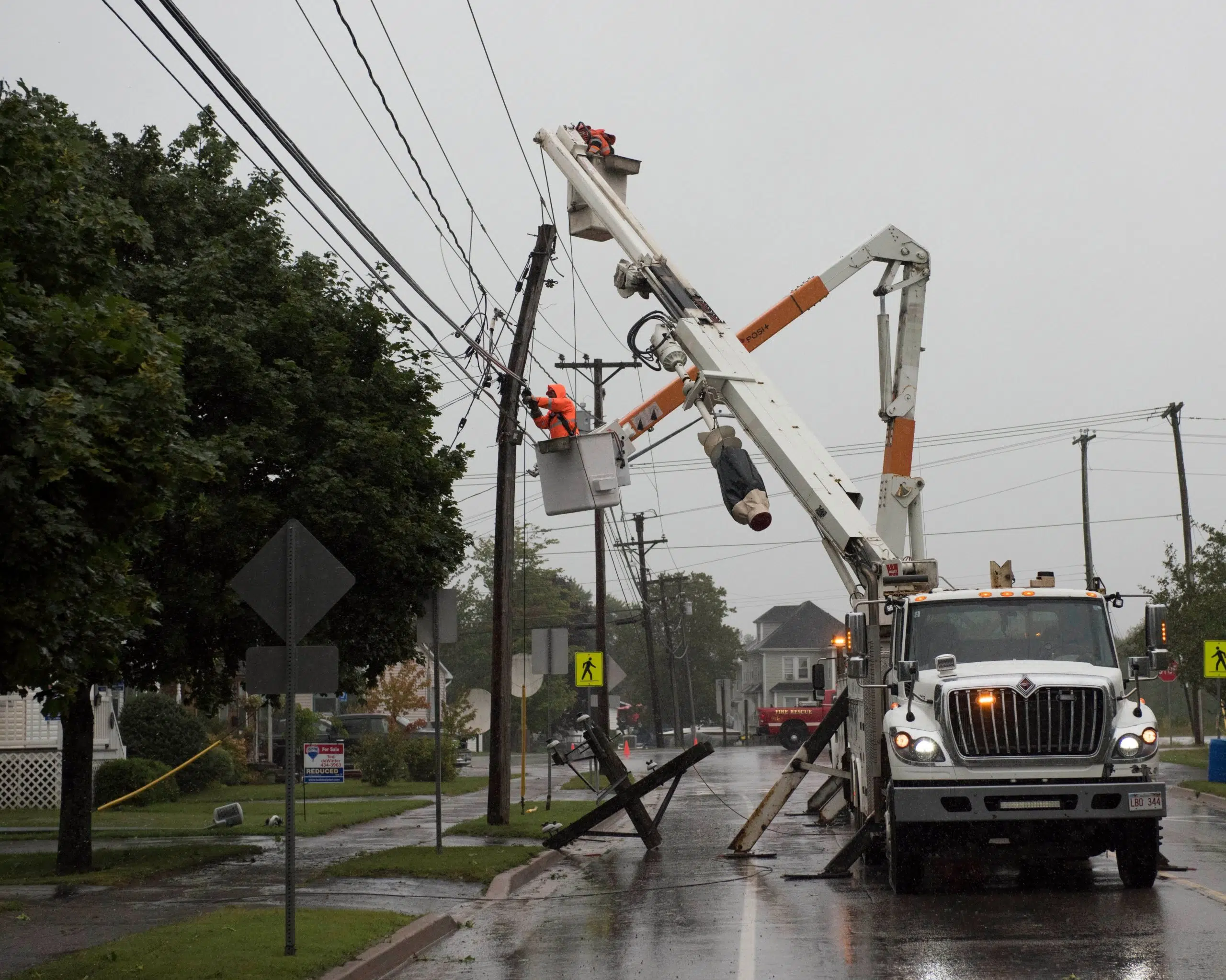 Downed Trees On Power Lines In NB Difficult To Avoid In High Winds