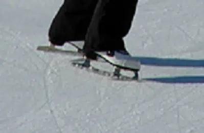 Would You Like To Have An Outdoor Rink In Your Neighbourhood?