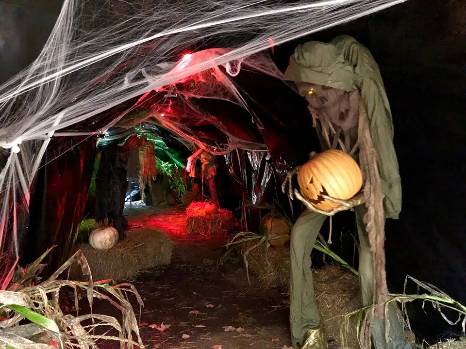 Boo At The Zoo Returns For Another Year Of Spooky Fun
