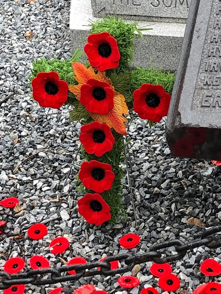 Virtual Remembrance Day Ceremonies For Tri-Communities