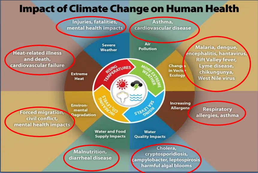 Pilot Project To Help Better Understand Climate Change-Health Link