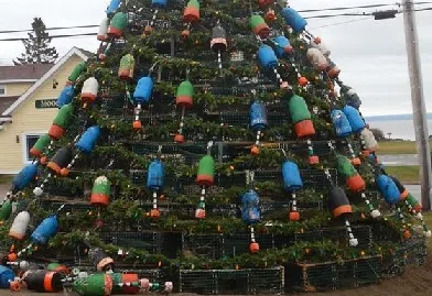 New Lobster Trap Christmas Tree Tradition For Alma