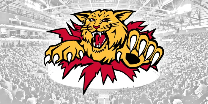 Moncton Wildcats Release Head Coach