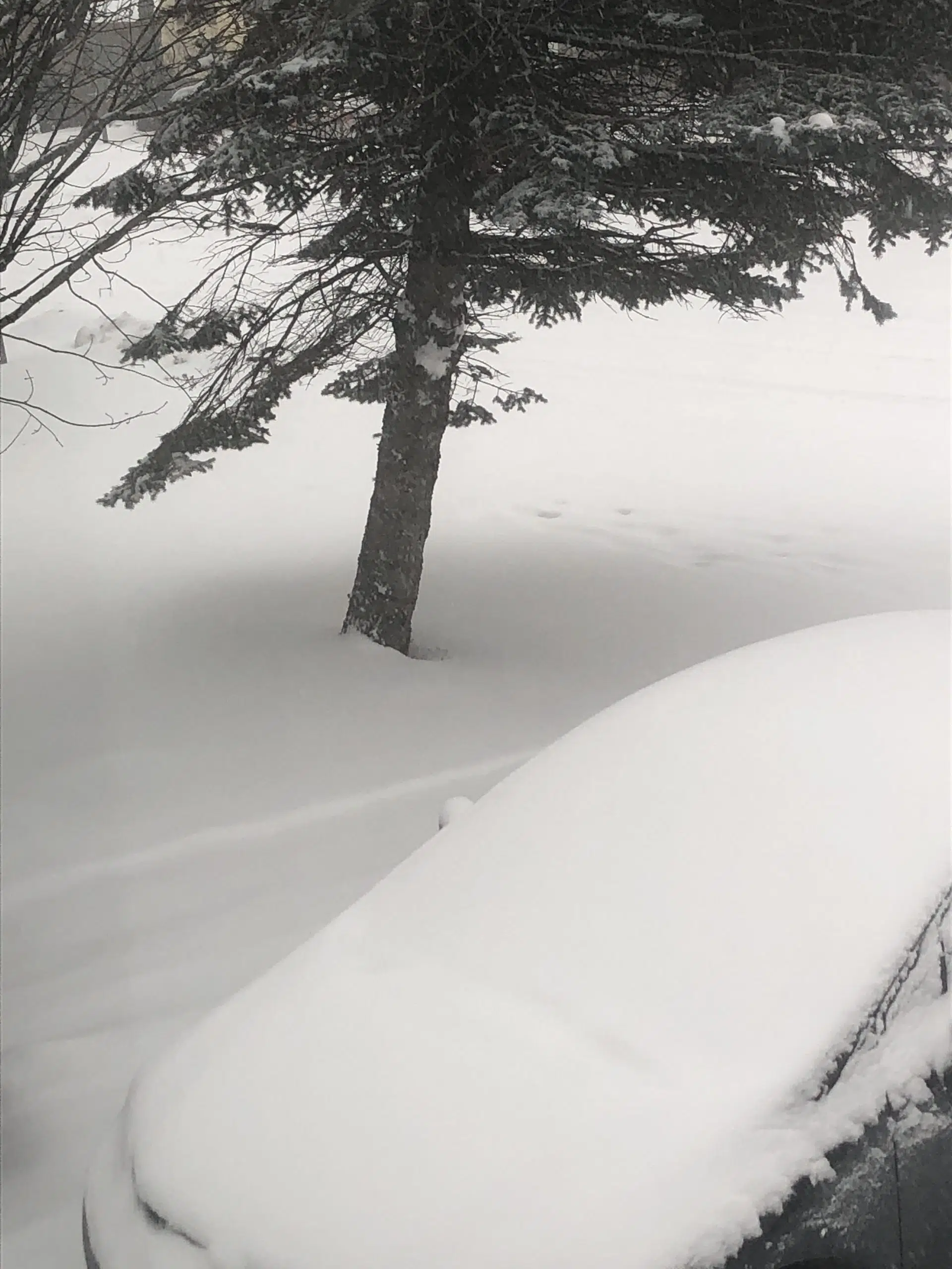 Clean-Up Continues After Heavy Snowfall in New Brunswick