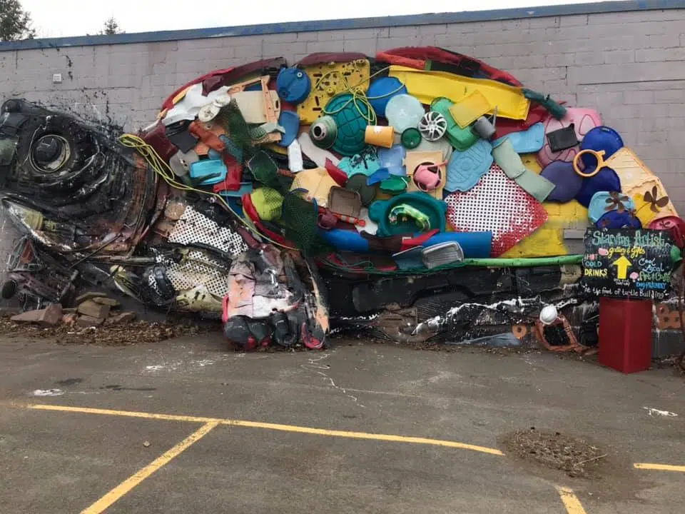 Local Artists 'Inspire' People To Recycle Through Murals