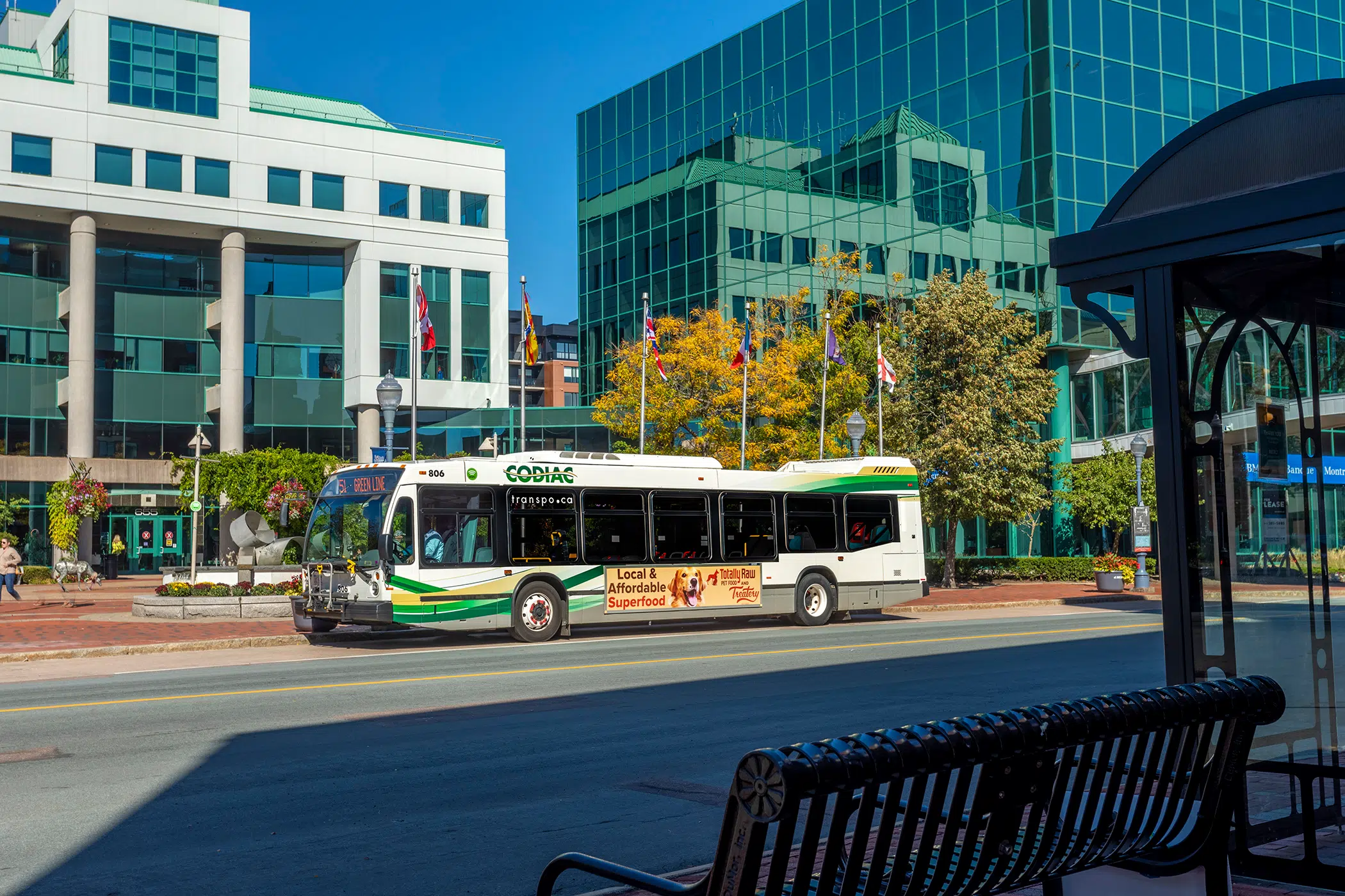 Route Changes Coming For Codiac Transpo