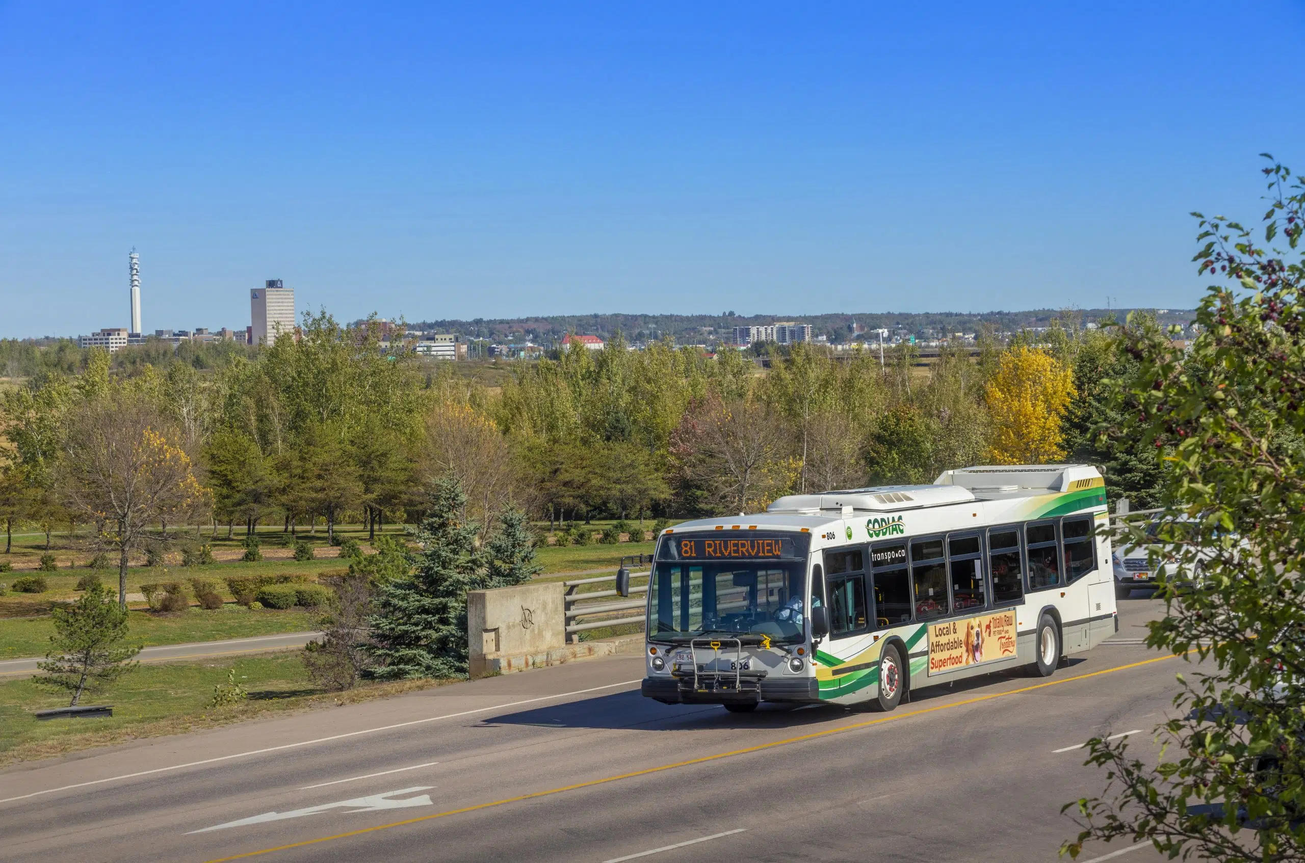 Pilot Project In Dieppe For On Demand Transit