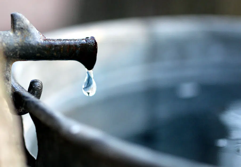 Maple Syrup Producer Says Upcoming Season Hard To Predict