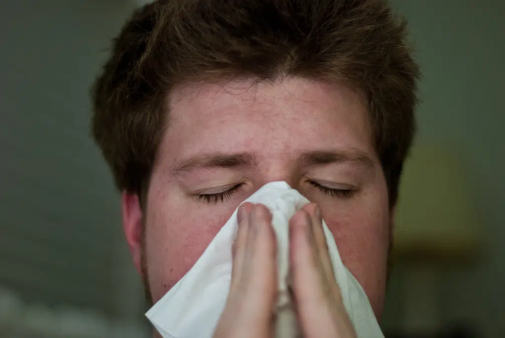 Spring Allergy Season In Full Swing