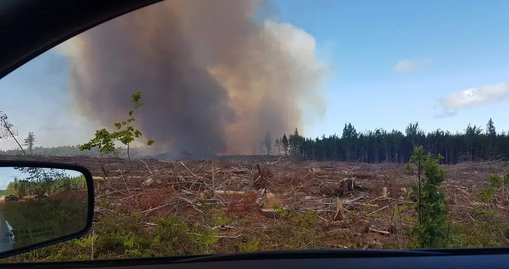 Forest Fire Contained, DNR Asks Residents To Avoid Area