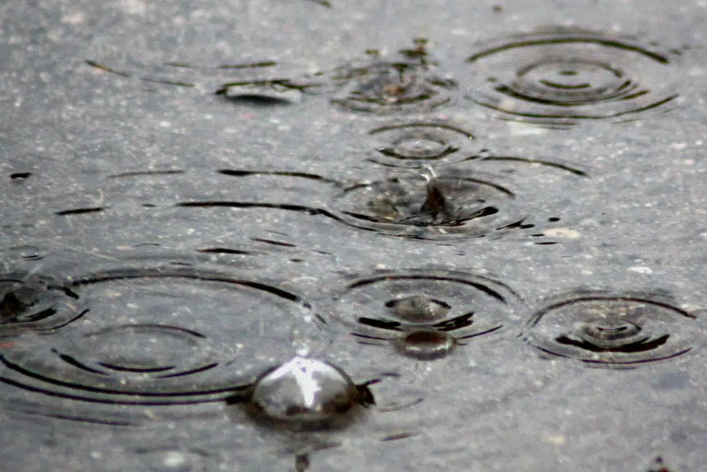 Elsa Expected To Hit NB As Post Tropical Storm