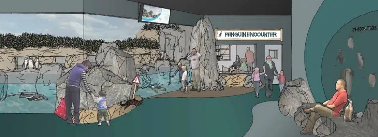 Magnetic Hill Zoo Expansion Plans Unveiled