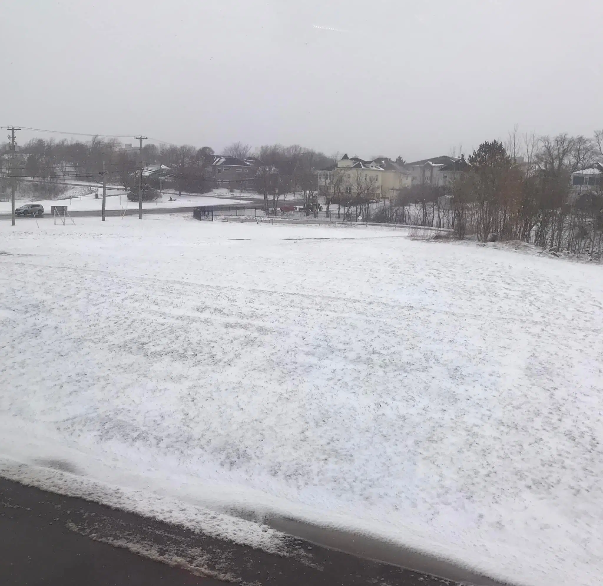 Poor Man's Fertilizer?