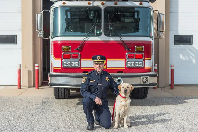 New Four Legged Member Of Moncton Fire Department