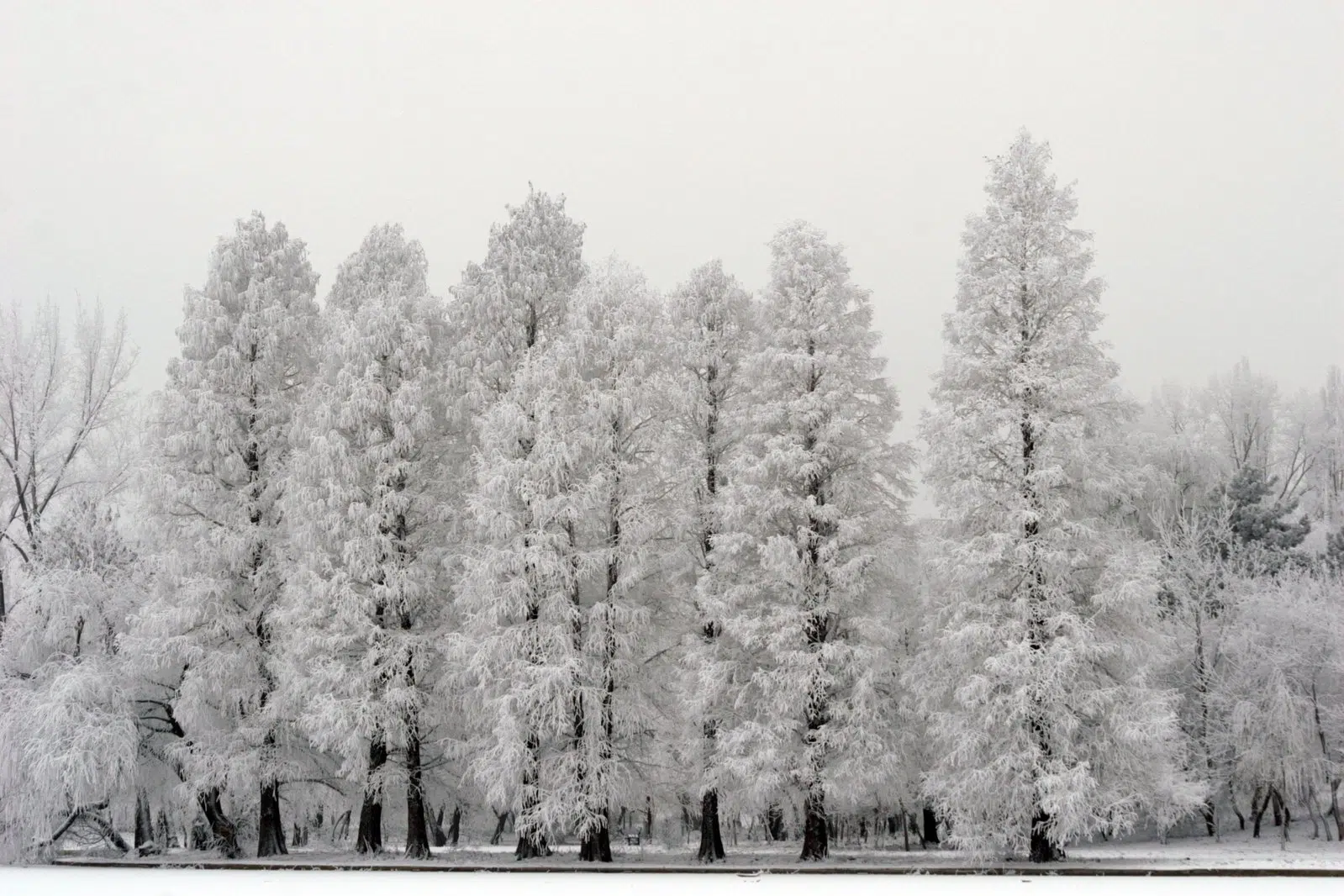 Storm Sunday To Bring Snow, Ice Pellets And Possible Freezing Rain