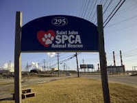 Project Bringing Greenery To Saint John SPCA