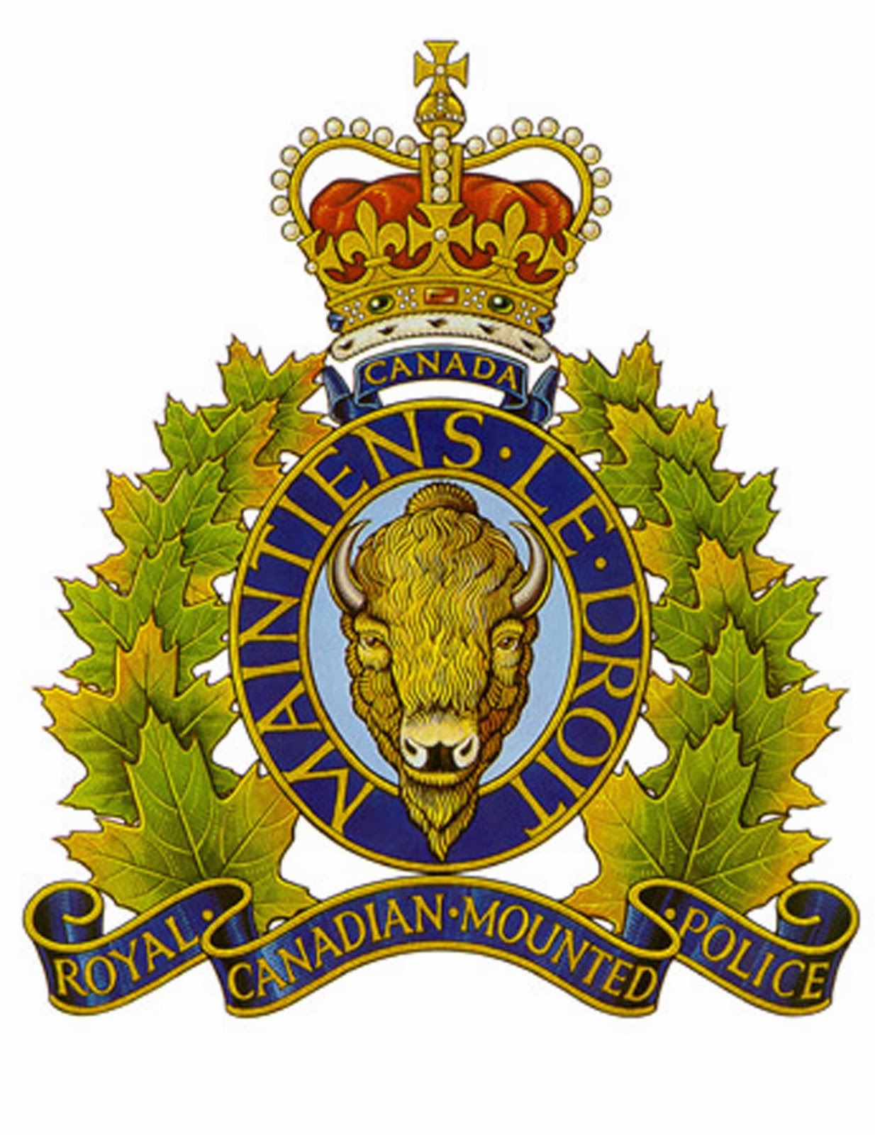 Police Association President Weighs In On RCMP Vs. Municipal Departments