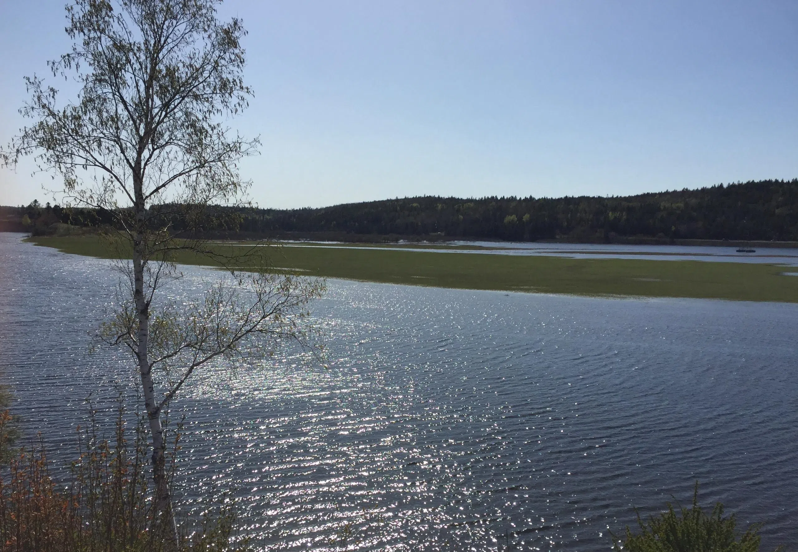 Most Water Levels Along St. John River Below Flood Stage