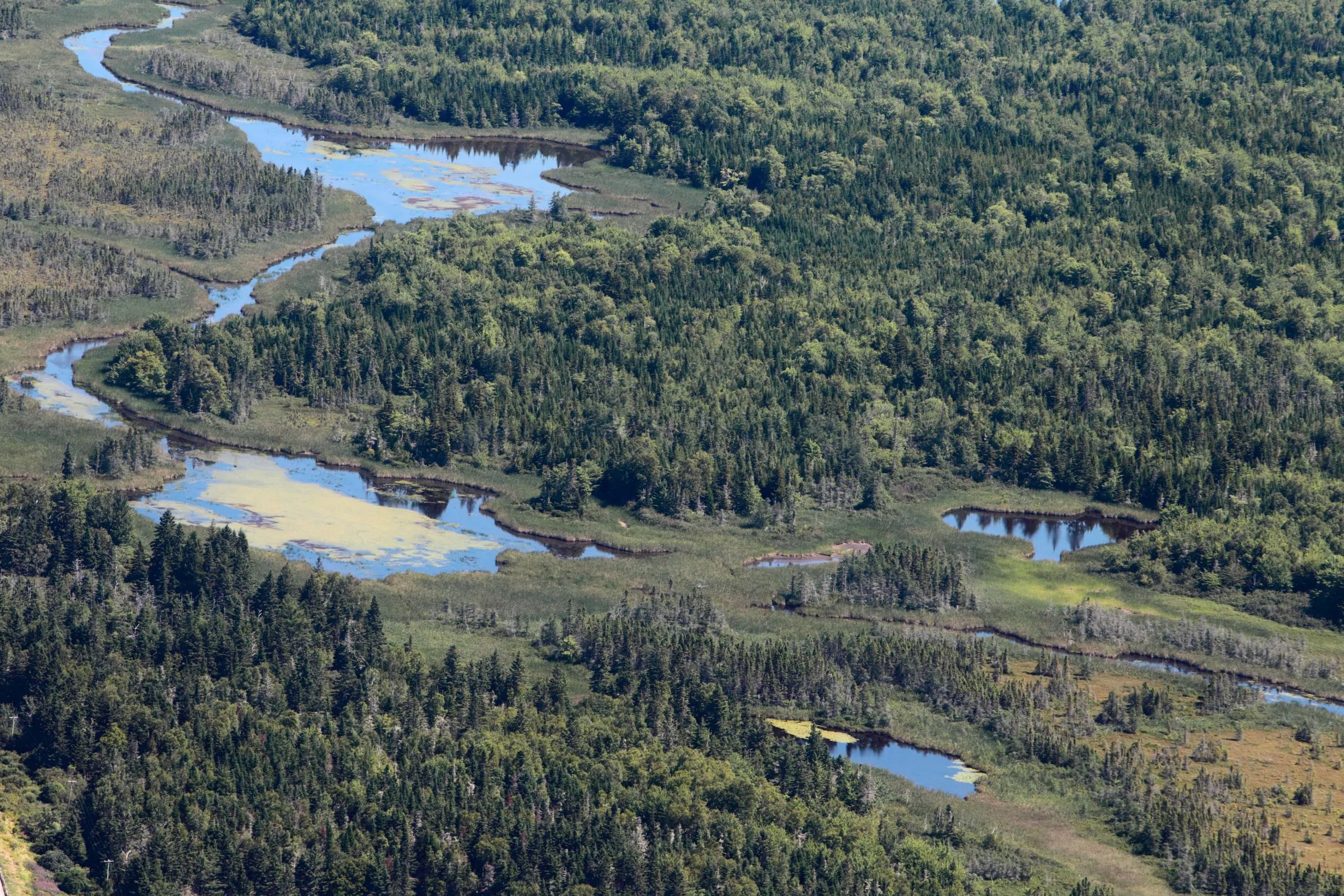 Nature Conservancy Of Canada Surpasses 3,400 Acres Protected On Chignecto Isthmus