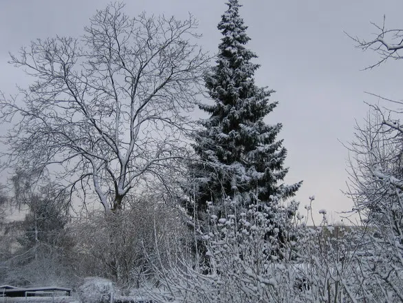 Winter Officially Begins Today In NB