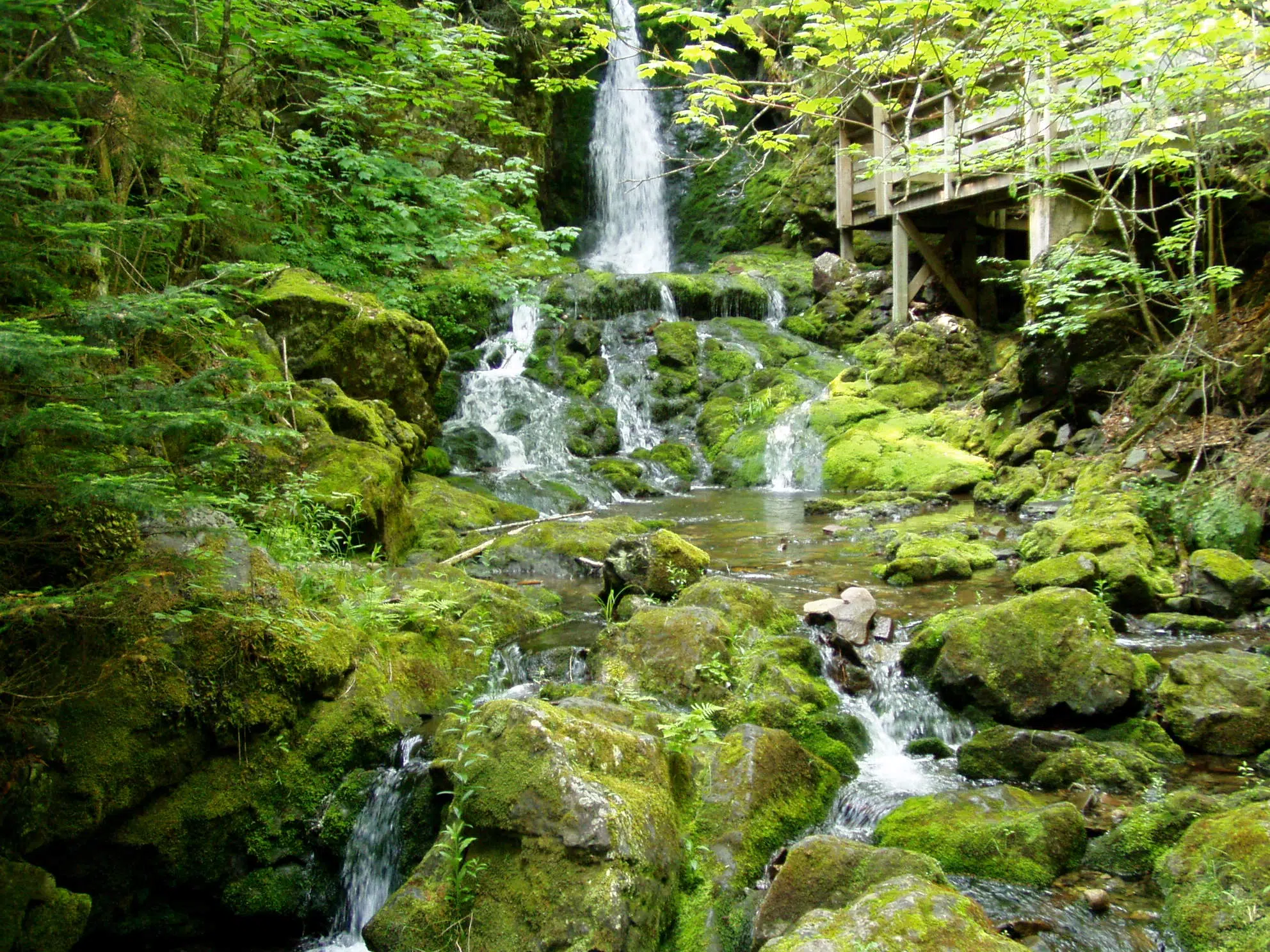 Fundy National Park, A Great Place To Visit