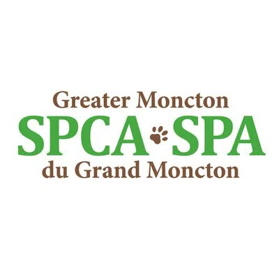 Greater Moncton SPCA Names New Executive Director