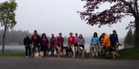 Hundreds Come Out To First Annual Walk For Hounds