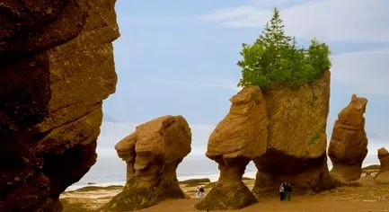 Hopewell Rocks - An Ever-Changing Attraction