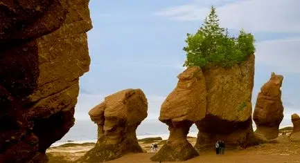 Hopewell Rocks Ready To Welcome Guests