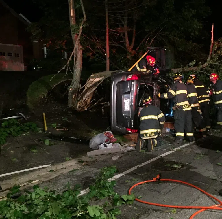 Car Crashes Into Tree