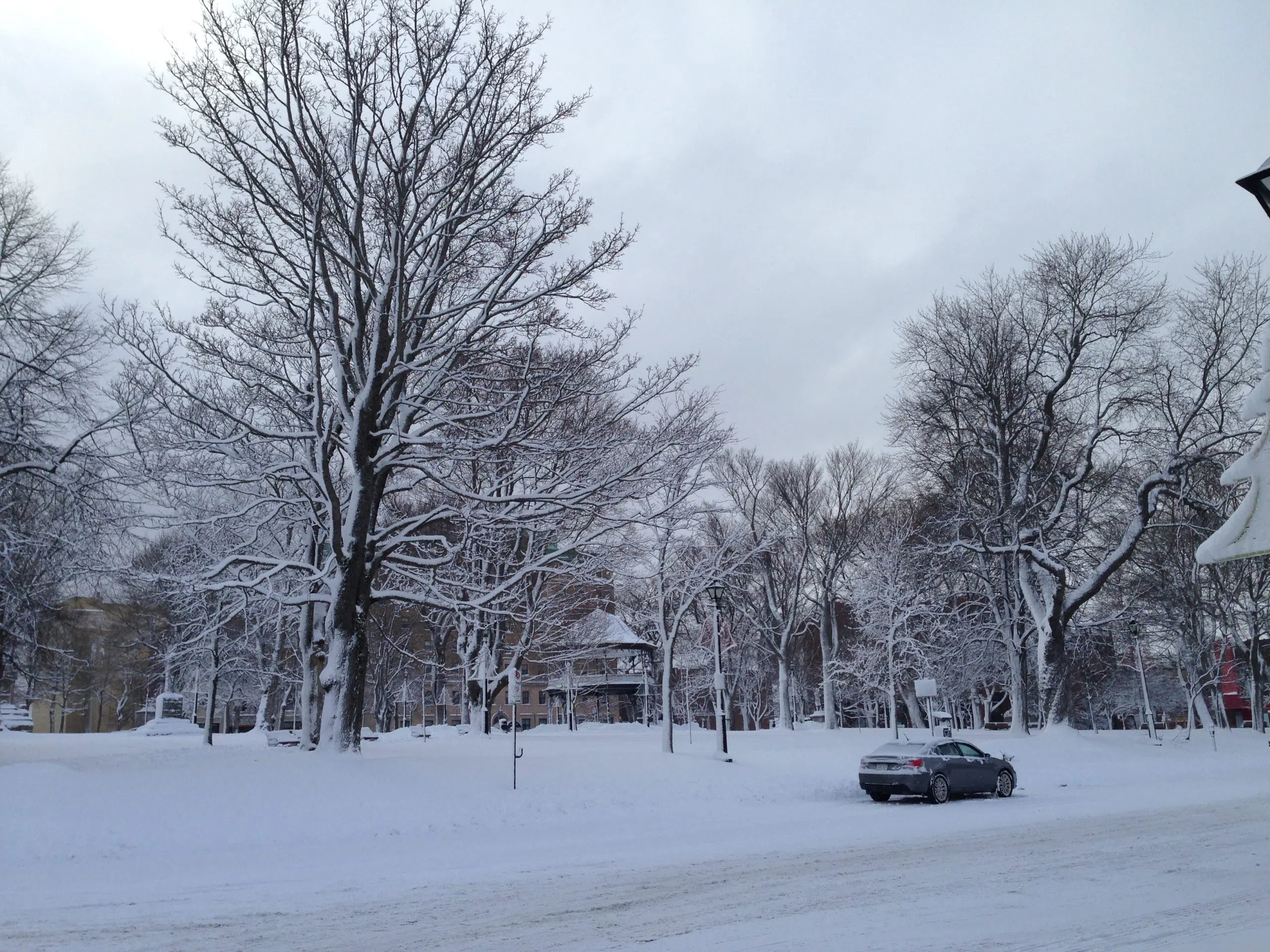 Winter Storm Watch In Effect For Saint John, Charlotte County