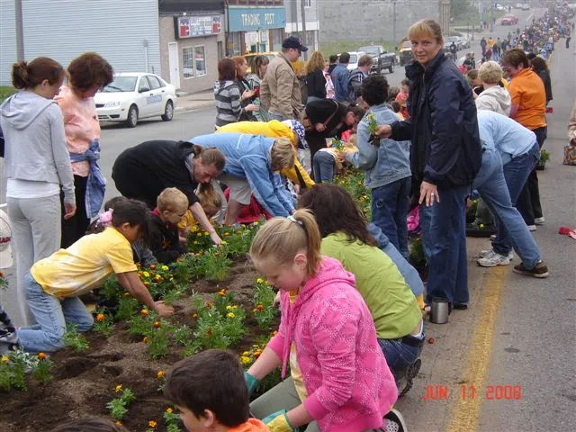 Thousands Of Marigolds To Be Planted Today