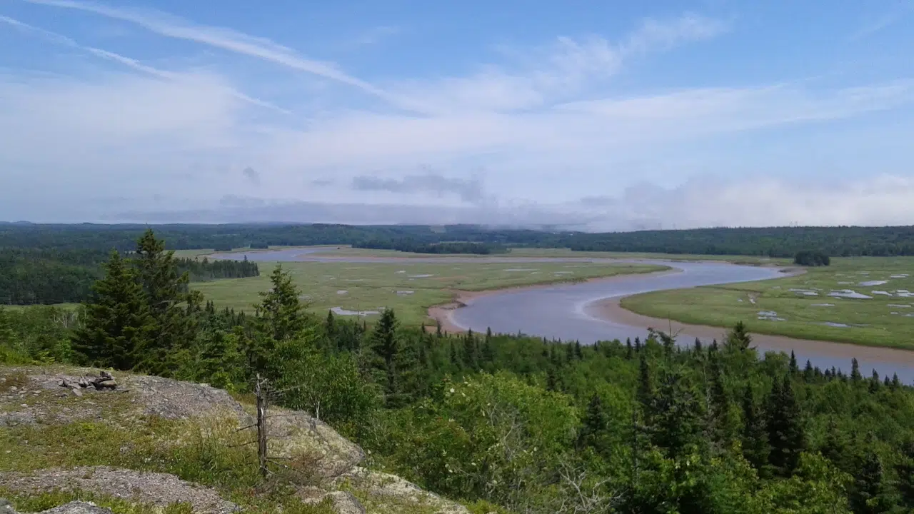 Adding More Protected Land In Musquash and on Grand Manan Island