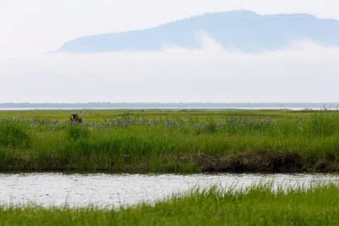 Nature Conservancy Of Canada Gets $1,000,000 Donation From JDI