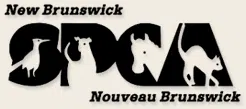 Provincial Government Gives Funding To New Brunswick SPCA