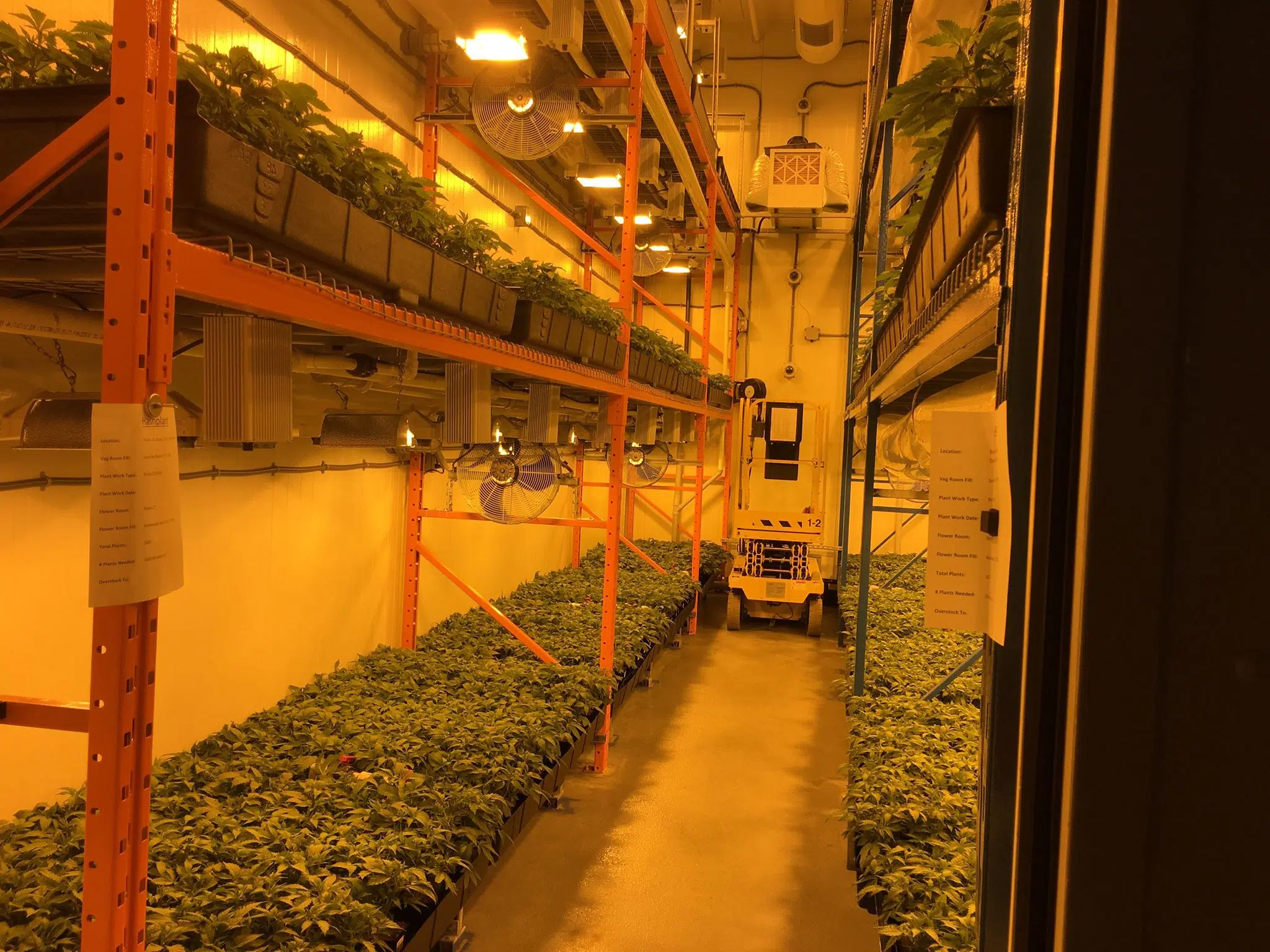 Moncton Marijuana Producer Unveils Latest Expansion