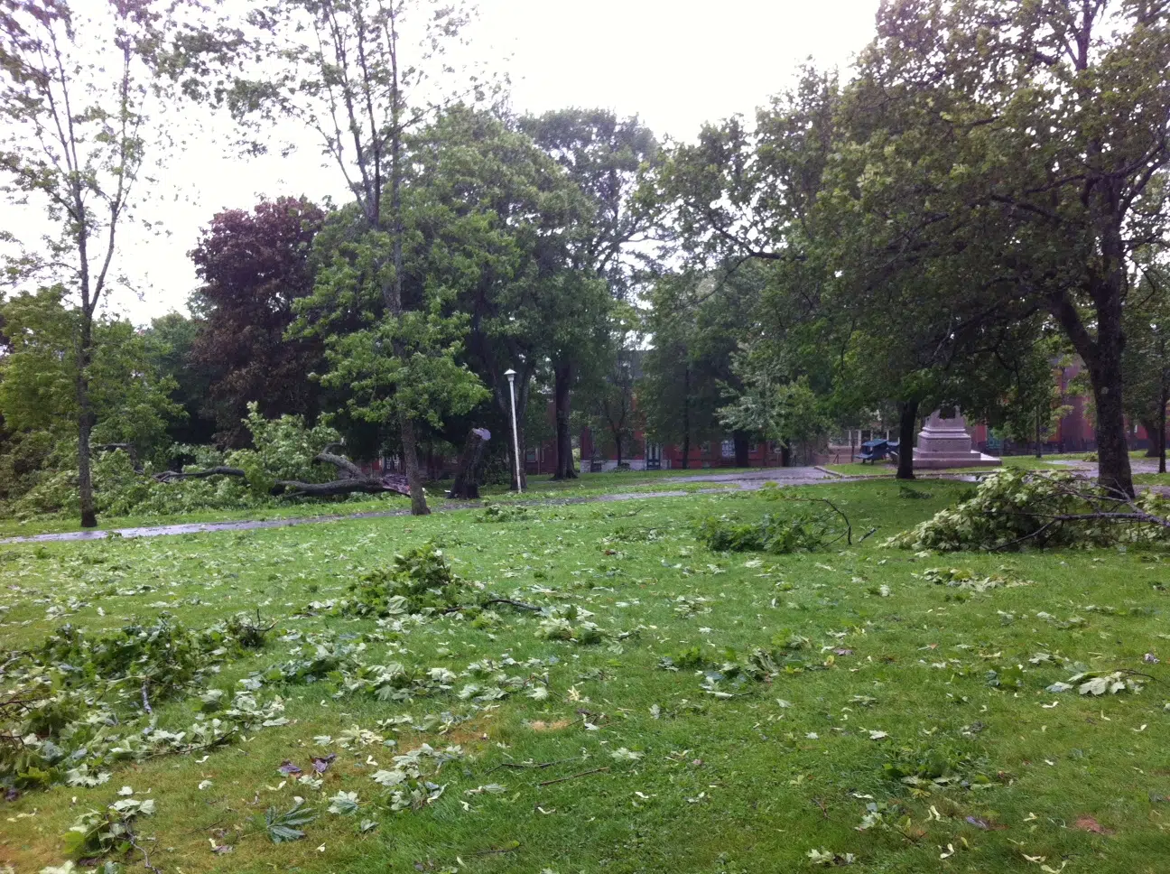 Saint Johnners Advised To Stay Out Of Parks And Squares