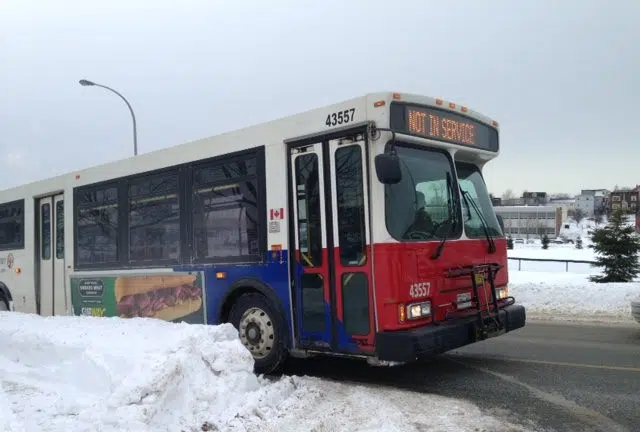 Saint John Transit Adjusts To Snow