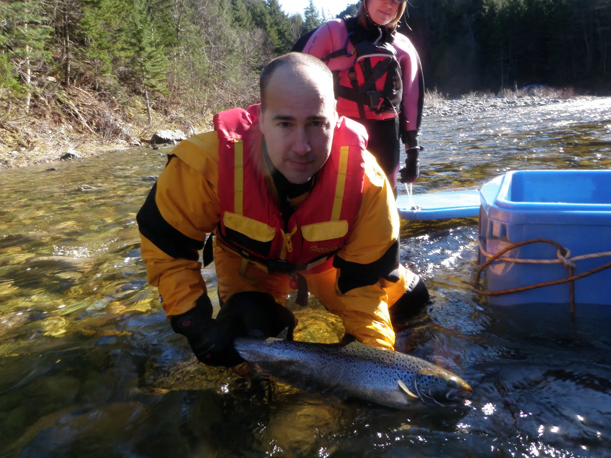 ASF Concerned About Growing Threats To The Salmon Population