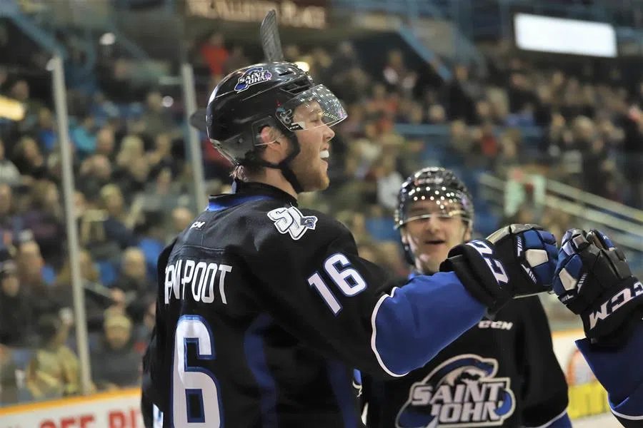 Sea Dogs Sign Free Agent 