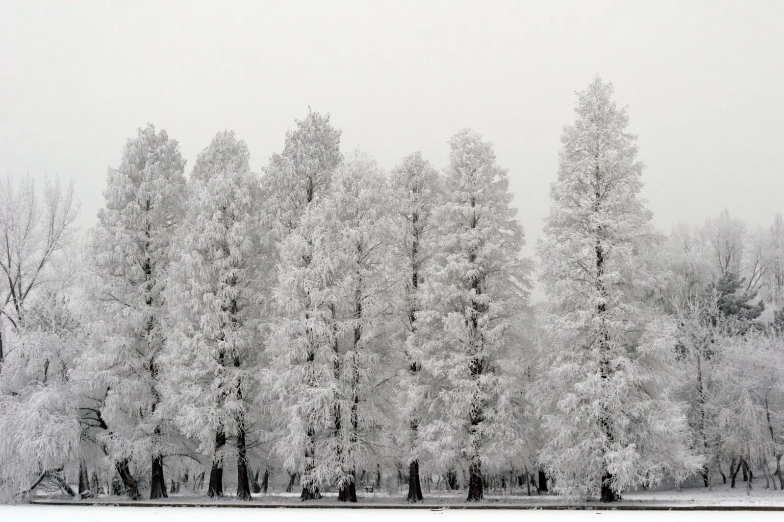 More Snow On The Way For N.B.