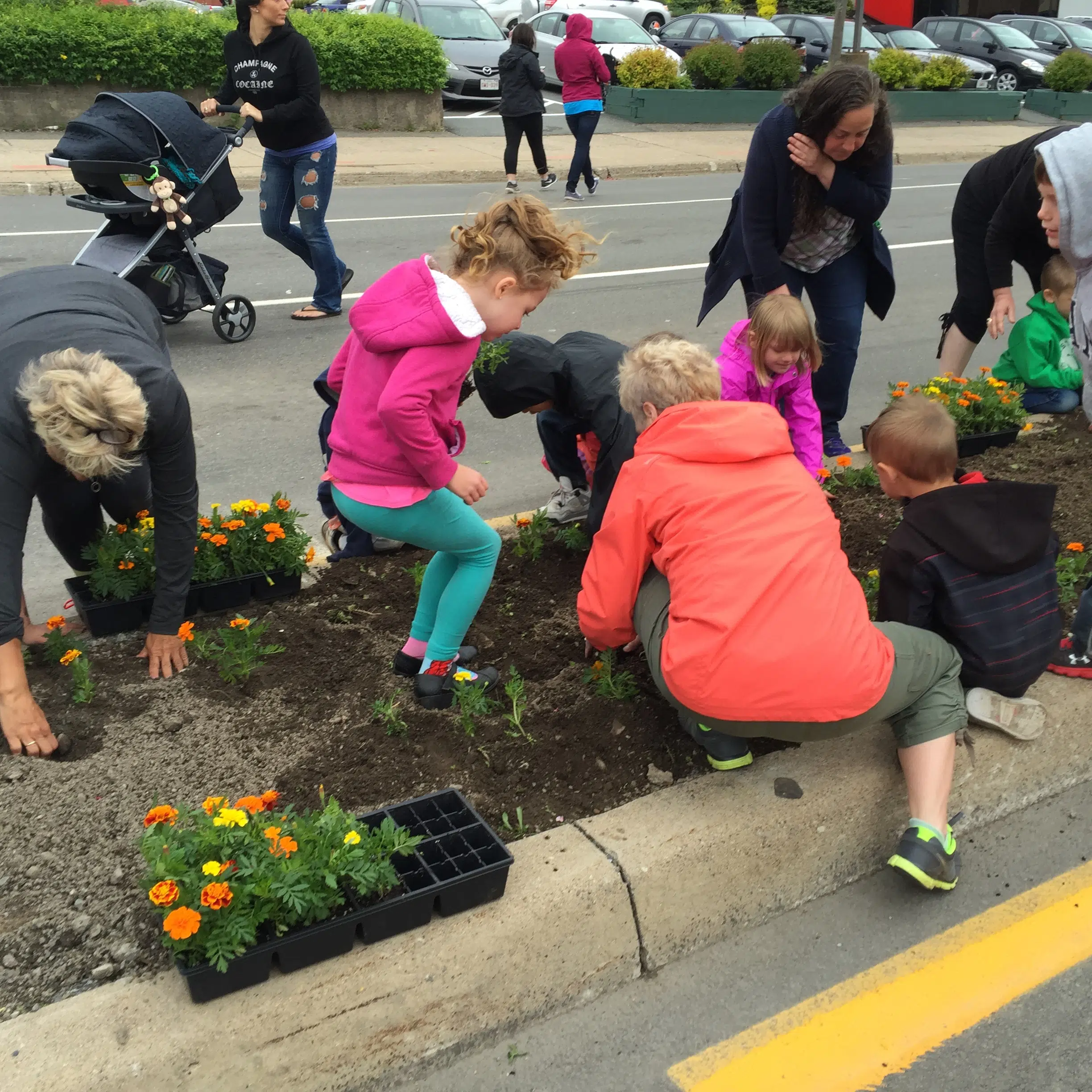 Hundreds Gather For The Marigolds Project