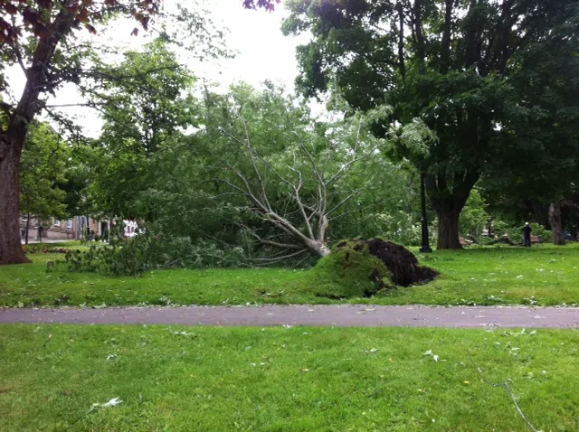 Some City Streets Remain Closed