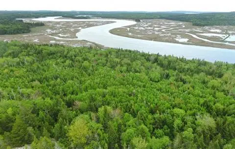 Nature Conservancy Hosts Volunteer Clean-ups 