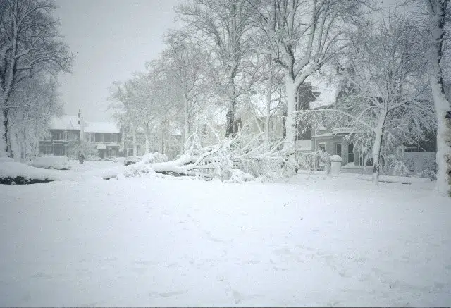 Winter storm bears down on the Maritimes