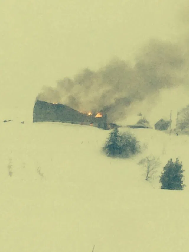 Nauwigewauk Fire Destroys Barn Full Of Animals And Equipment