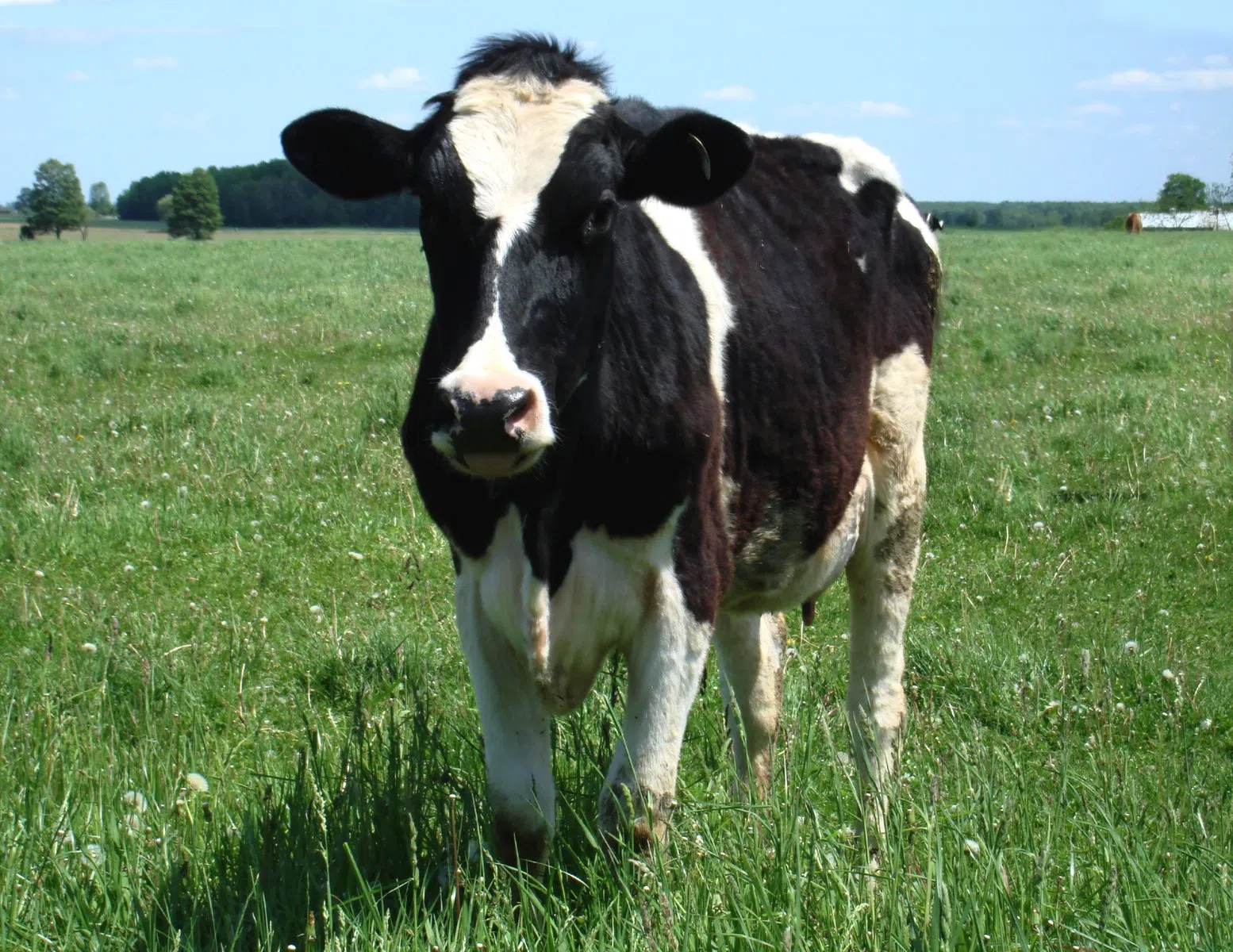 Livestock Development Centre Opens In Sussex